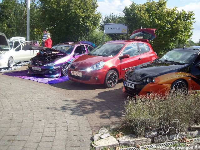 Steinsdays 2010