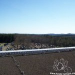 Ringtreffen 2011